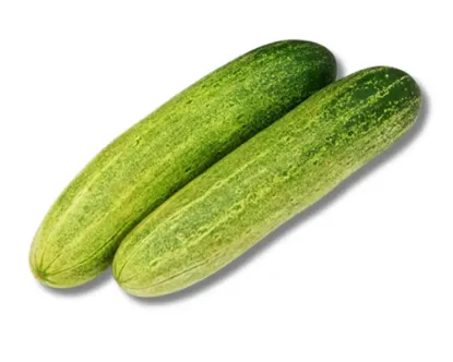 শসা 1kg